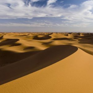 صدای باد در صحرا