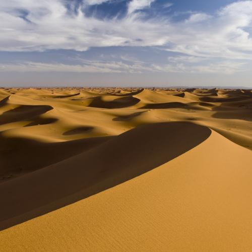 صدای باد در صحرا