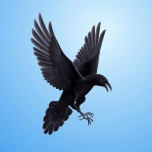 صدای قار قار کلاغ چهار بار