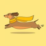 صدای پارس سگ Dachshund
