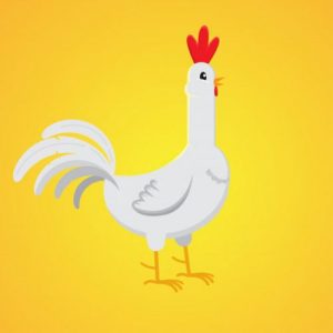 صدای مرغ