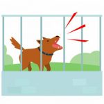 صدای پارس سگ از فاصله دور