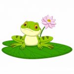 صدای قورباغه در تالاب